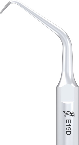 Końcówka do skalera ED19D SPECIAL