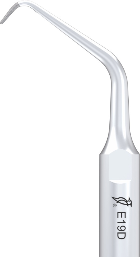 Końcówka do skalera ED19D SPECIAL