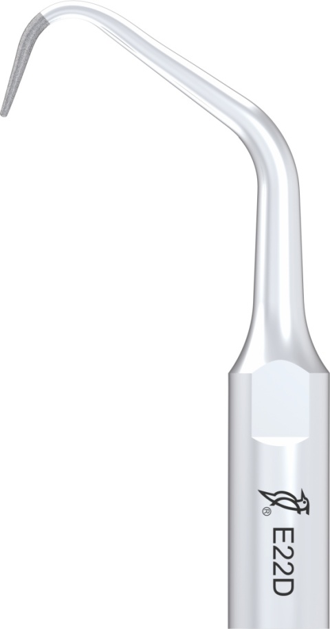 Końcówka do skalera ED22D SPECIAL