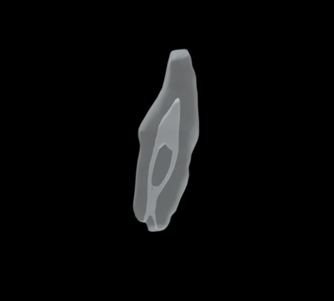 BIOMED 3D Tooth - Ząb treningowy - 25